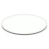 24 in. x 48 in. Clear E-Oval (Elliptical) 1/2 in. Thick Glass Table Top 1 in. Beveled Tempered Glass by Fab Glass and Mirror