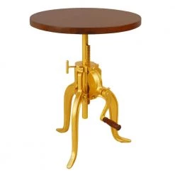 Regan 18 in. Elm and Gold Adjustable Round End Table by Carolina Cottage